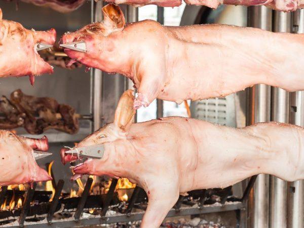 Skema pemotongan bangkai babi atau babi –