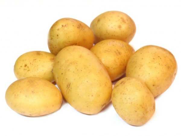 Karakteristik kentang jeli –