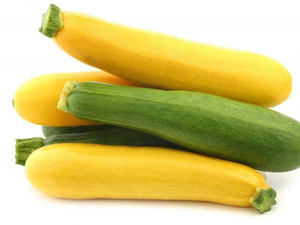 Penyebab kepahitan dalam zucchini –