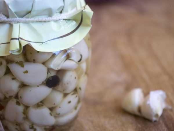 Kondisi penyimpanan bawang putih dalam toples –