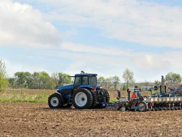 Cara membuat penanam kentang untuk traktor mini lakukan sendiri –