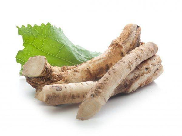 Apakah mungkin untuk memasukkan daun dan batang lobak ke dalam makanan kelinci? –