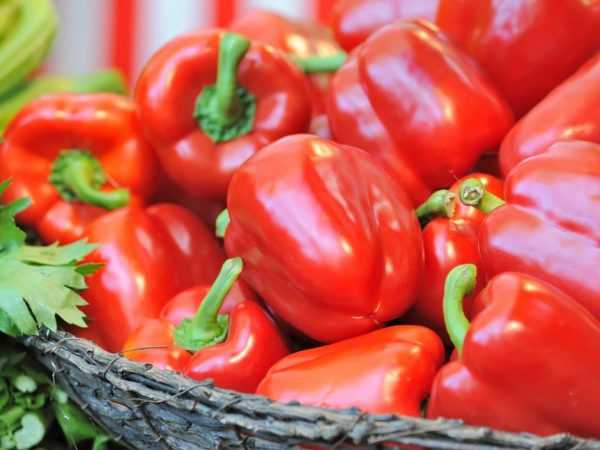 Karakteristik varietas paprika untuk salad Hadiah dari Moldova –