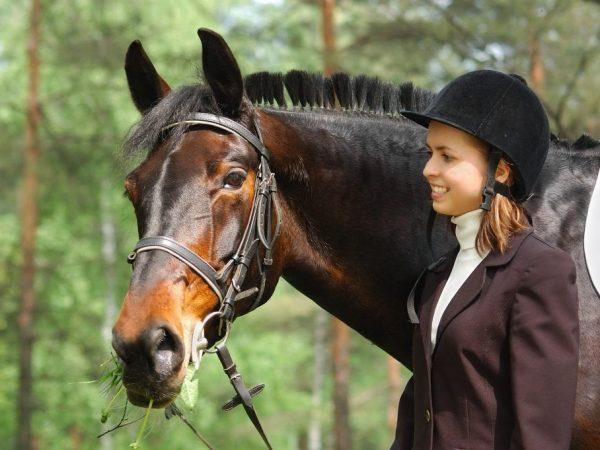 Deskripsi Rista kuda ras Rusia –