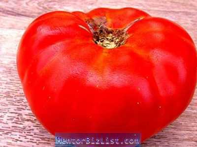 Caratteristiche della varietà di pomodori sorpresa Andreevsky