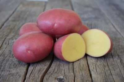 Caratteristiche delle varietà di patate Labella