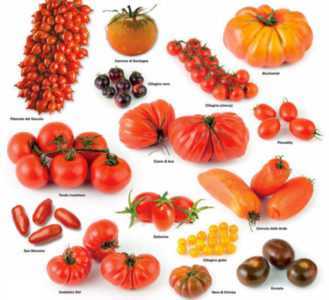 Caratteristiche delle varietà di pomodori Solerosso F1