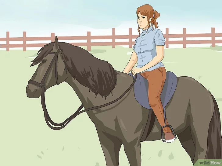 Come andare a cavallo mentre si guida