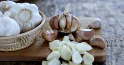 Come e cosa elaborare l’aglio in primavera