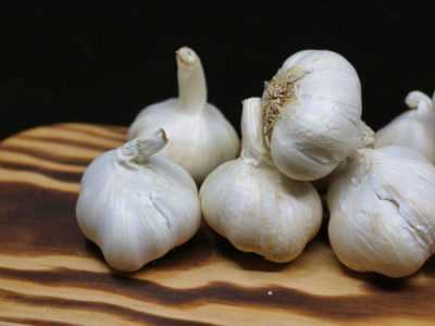 Cosa e come nutrire l’aglio in estate