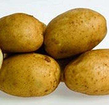 Descrizione della patata Ramos