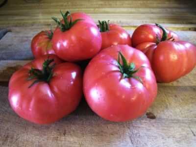 Descrizione di pomodori neri Mikado