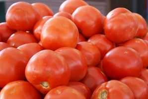 I benefici del cloruro di calcio per i pomodori