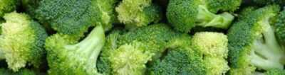 Il principio della coltivazione di broccoli in pieno campo