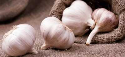 L’uso di bucce d’aglio in medicina e giardinaggio