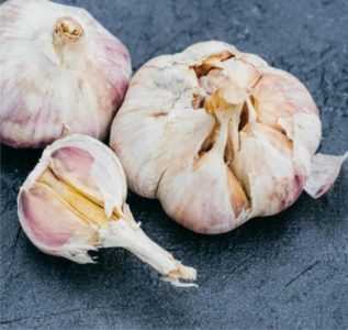 Malattie e prevenzione dell’aglio da tavola