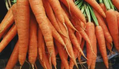Nutrire le carote a giugno
