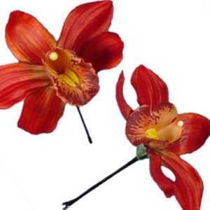 Orchidea rossa caratteristica