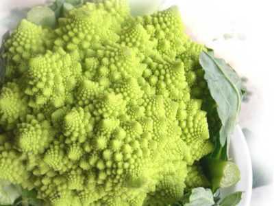 Perché Broccoli Cavolo Fiorito