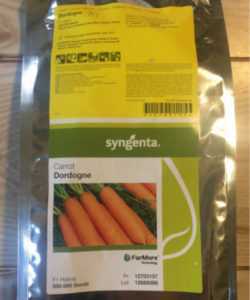 Una varietà ibrida di carote Dordogne f1