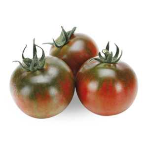 Varietà caratteristiche di pomodori Torquay