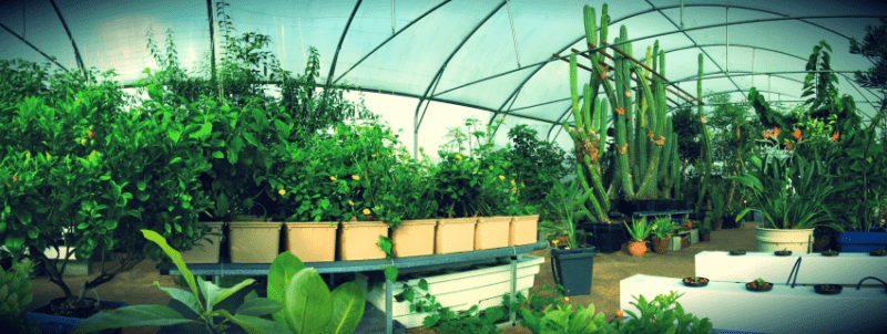 Coltivazione indoor – Idroponica