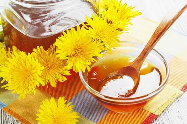 Miele di tarassaco: benefici, composizione e ricette