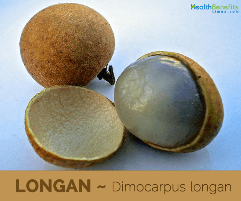 Longan (Lam Yai), Calorie, benefici e danni, Benefici