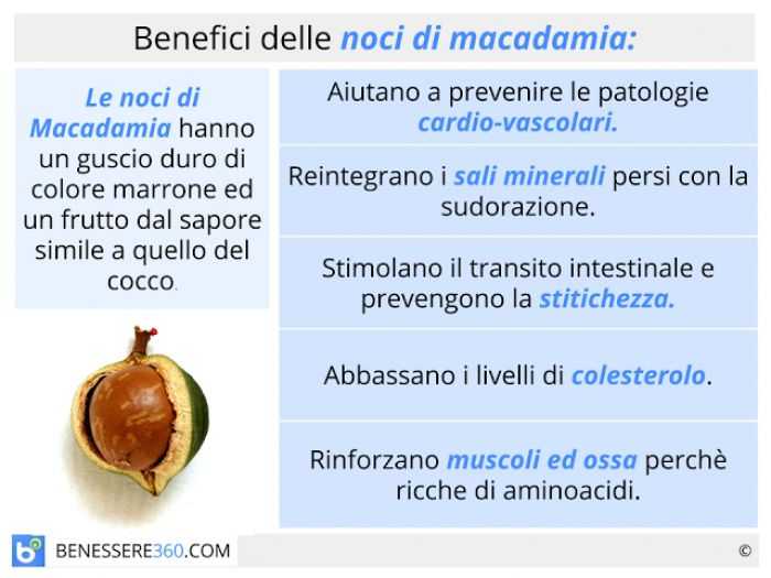 Macadamia, Calorie, benefici e rischi, Proprietà utili