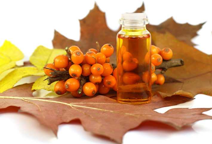 Olio di olivello spinoso, Calorie, benefici e danni, Proprietà utili