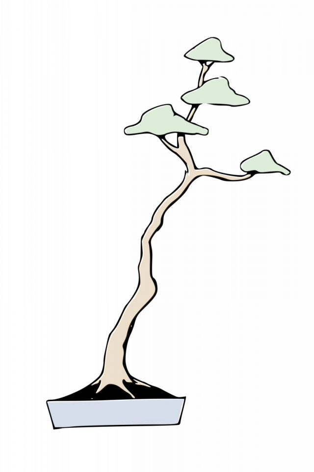 Bunjingi in stile bonsai