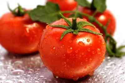טריכופול לעיבוד עגבניות