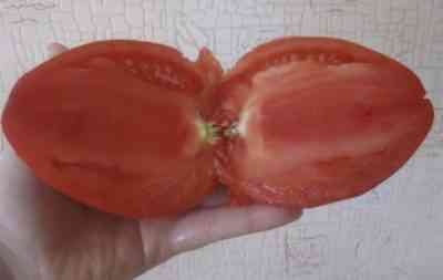 מאפייני עגבניות קניגסברג מוזהבות
