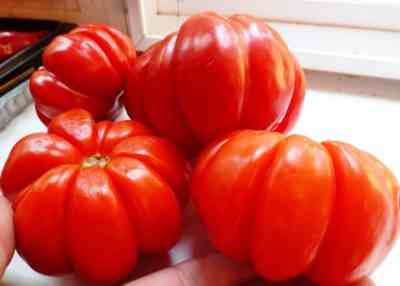 מאפייני עגבניות בצורת אגס