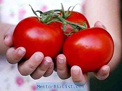 כיצד לעבד זרעי עגבניות לפני השתילה