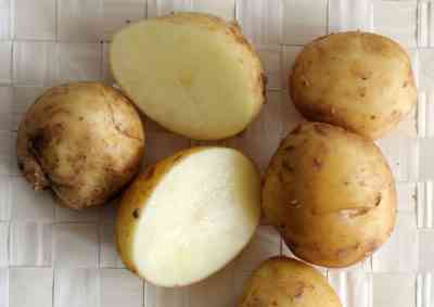 קביעת ההרכב הכימי של תפוחי אדמה