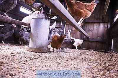 בניית מזין לתרנגולות