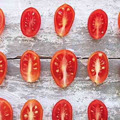 שימוש בסידרים לעגבניות