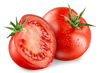 מאפייני זני עגבניות GS 12