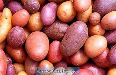 זני תפוחי האדמה הטובים ביותר עבור אזור צפון-מערב