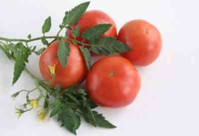 תיאור של גנום עגבניות