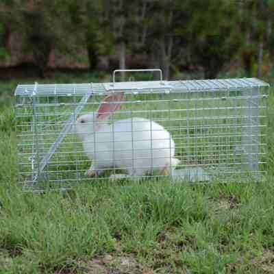 איך להכין כלובי ארנב מרשת
