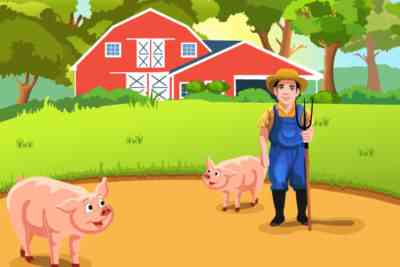 כיצד להסיר ריחות חזיר מהבשר
