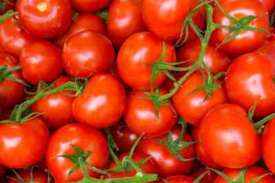 היתרונות של nitroammophoski עבור עגבניות