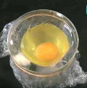 איך עוף נושא ביצה