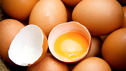 חלמון ביצה