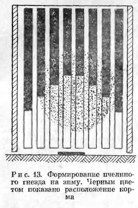 Формирование рамок. Схема формирования гнезда пчел на зиму. Формирование пчелиного гнезда в зиму. Схема сборки гнезда пчел в зиму. Зимовка пчел сборка гнезда на зиму.
