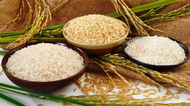 אורז מונבט - תכונות שימושיות ומסוכנות של אורז מונבט, קלוריות, יתרונות ונזקים, תכונות שימושיות