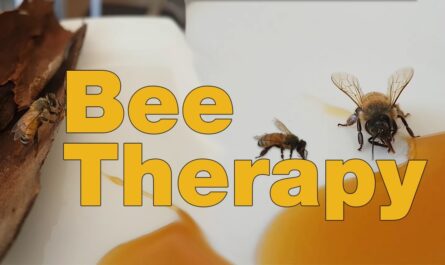 הריון ואבקת דבורים