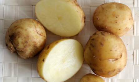 תיאור תפוחי אדמה ז'וראווינקה